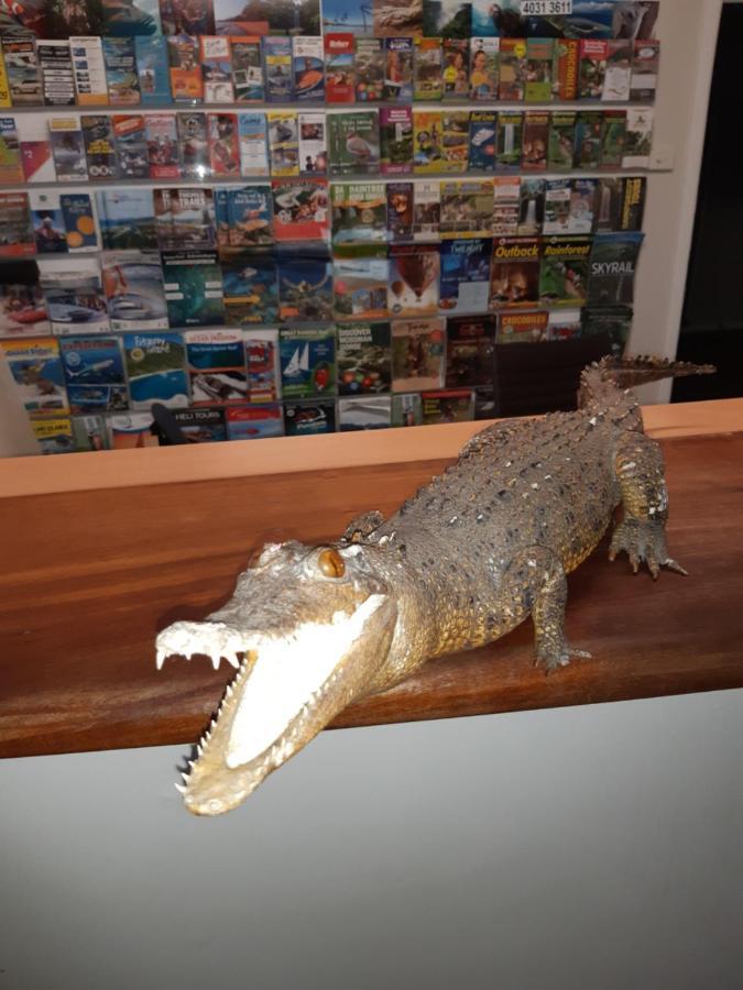 เกคโคส์ แบ็คแพคเกอร์ส แคนส์ Hostel ภายนอก รูปภาพ A model of a saltwater crocodile