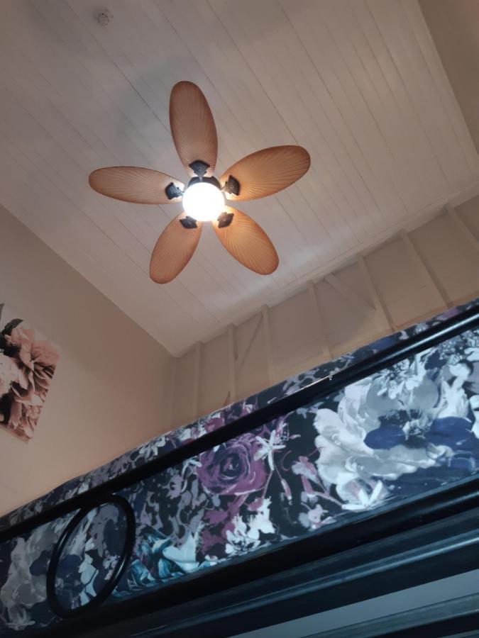 เกคโคส์ แบ็คแพคเกอร์ส แคนส์ Hostel ภายนอก รูปภาพ A ceiling fan with a light kit
