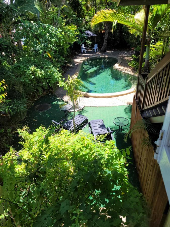 เกคโคส์ แบ็คแพคเกอร์ส แคนส์ Hostel ภายนอก รูปภาพ The pool at the hotel