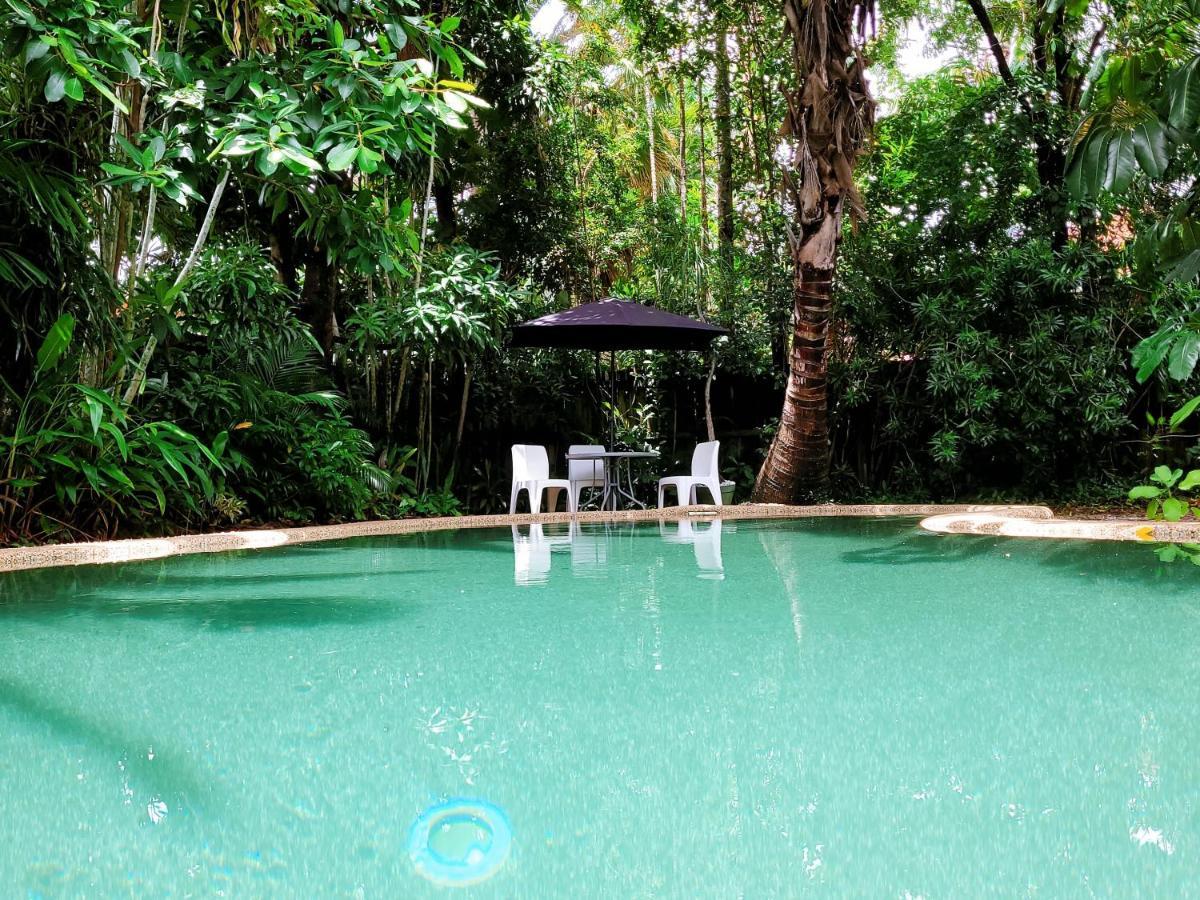 เกคโคส์ แบ็คแพคเกอร์ส แคนส์ Hostel ภายนอก รูปภาพ The swimming pool at the Rainforest Ecolodge