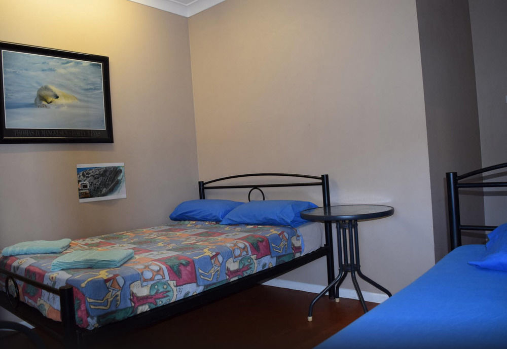 เกคโคส์ แบ็คแพคเกอร์ส แคนส์ Hostel ภายนอก รูปภาพ A room at the hostel