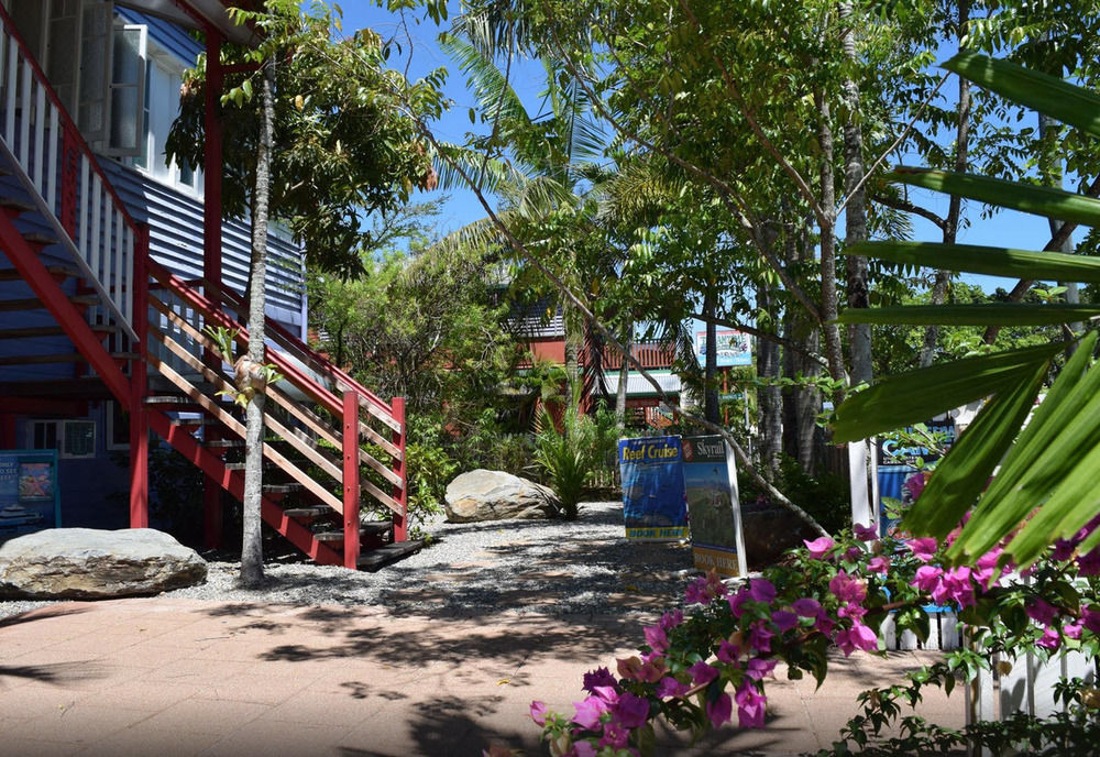 เกคโคส์ แบ็คแพคเกอร์ส แคนส์ Hostel ภายนอก รูปภาพ The beach at the resort