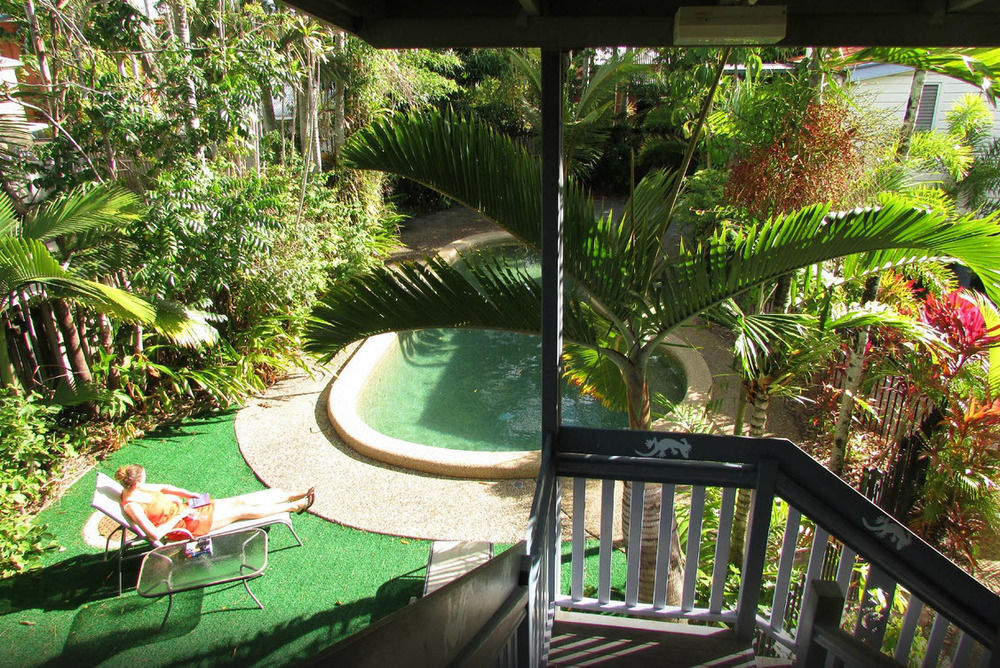 เกคโคส์ แบ็คแพคเกอร์ส แคนส์ Hostel ภายนอก รูปภาพ A view of the pool at the resort