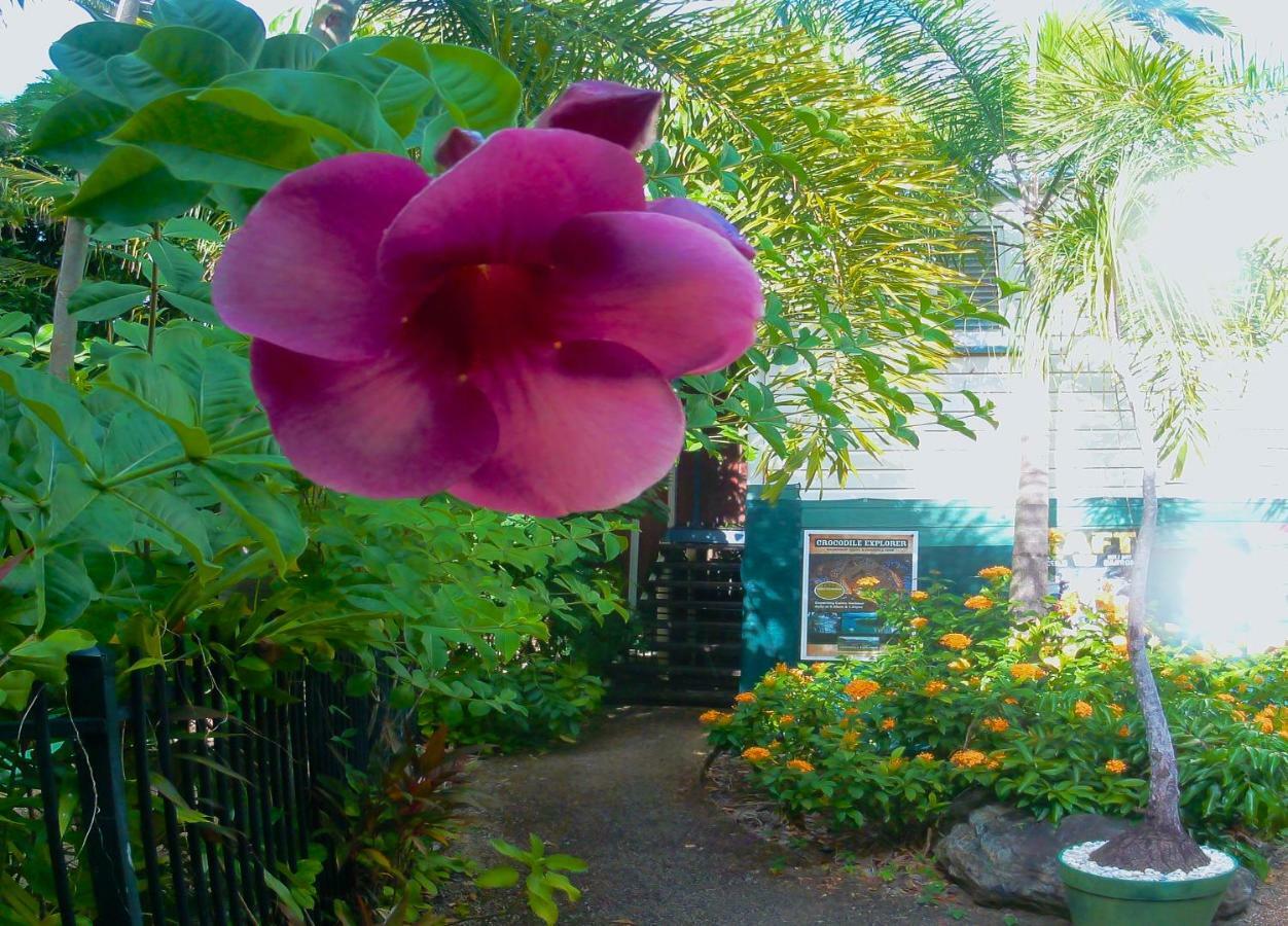 เกคโคส์ แบ็คแพคเกอร์ส แคนส์ Hostel ภายนอก รูปภาพ A garden in Hawaii
